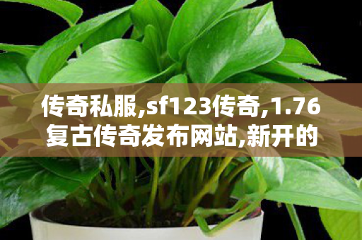 传奇私服,sf123传奇,1.76复古传奇发布网站,新开的传奇私服,1.76复古传奇发布网站