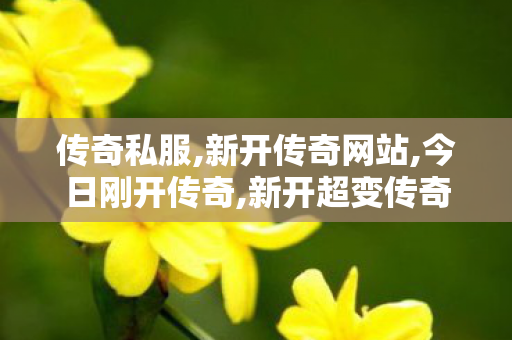 传奇私服,新开传奇网站,今日刚开传奇,新开超变传奇,今日刚开传奇