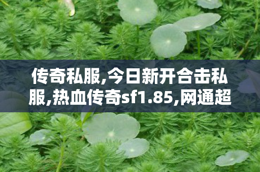 传奇私服,今日新开合击私服,热血传奇sf1.85,网通超变态传奇私服,热血传奇sf1.85