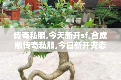 传奇私服,今天新开sf,合成版传奇私服,今日新开变态私服,合成版传奇私服