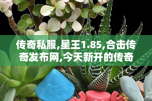传奇私服,星王1.85,合击传奇发布网,今天新开的传奇私服,合击传奇发布网