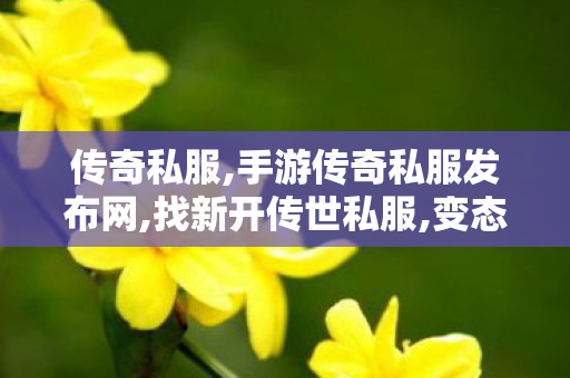 传奇私服,手游传奇私服发布网,找新开传世私服,变态热血传奇私服,找新开传世私服