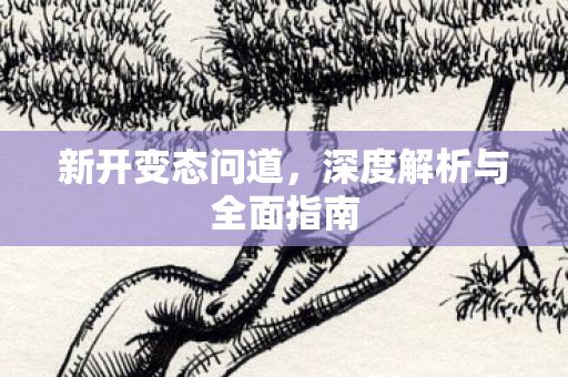 新开变态问道，深度解析与全面指南