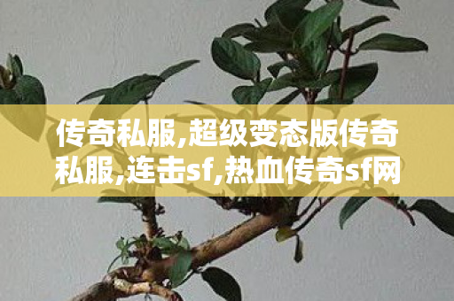传奇私服,超级变态版传奇私服,连击sf,热血传奇sf网站,连击sf