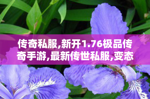 传奇私服,新开1.76极品传奇手游,最新传世私服,变态传奇私发布网,最新传世私服