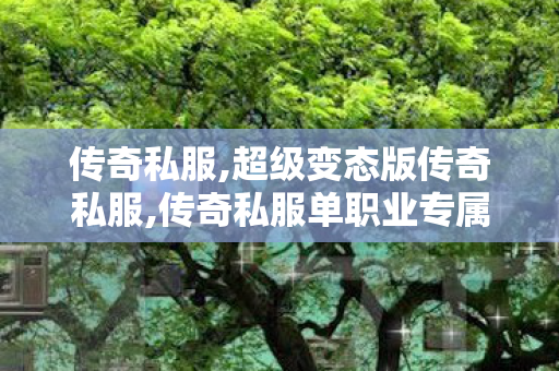 传奇私服,超级变态版传奇私服,传奇私服单职业专属,新开1.80合击传奇官网版,传奇私服单职业专属