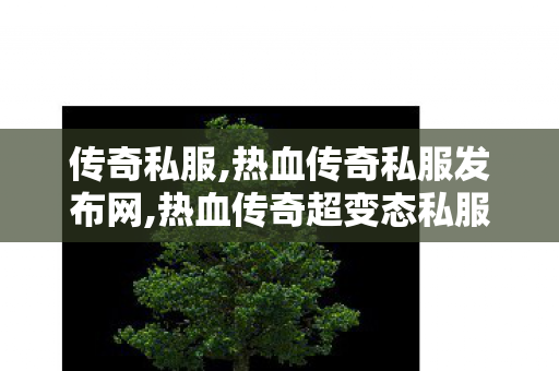 传奇私服,热血传奇私服发布网,热血传奇超变态私服,新开手游传奇私服,热血传奇超变态私服