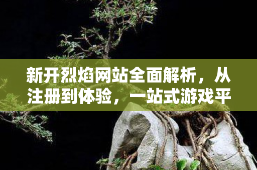 新开烈焰网站全面解析，从注册到体验，一站式游戏平台详解