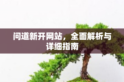 问道新开网站，全面解析与详细指南