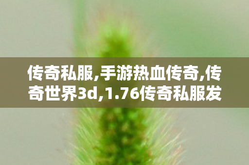 传奇私服,手游热血传奇,传奇世界3d,1.76传奇私服发布网,传奇世界3d