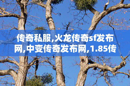 传奇私服,火龙传奇sf发布网,中变传奇发布网,1.85传奇发布网,中变传奇发布网