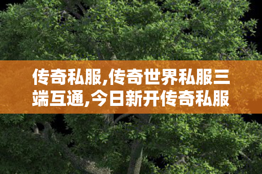 传奇私服,传奇世界私服三端互通,今日新开传奇私服,传奇私发布1.85,今日新开传奇私服