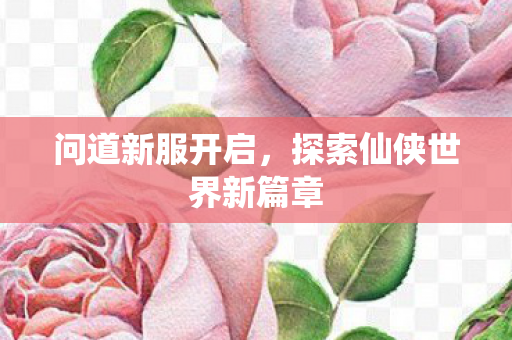 问道新服开启，探索仙侠世界新篇章
