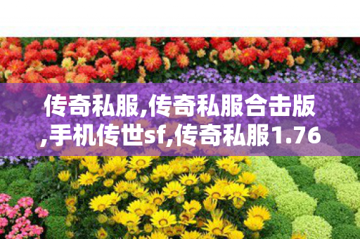 传奇私服,传奇私服合击版,手机传世sf,传奇私服1.76发布网,手机传世sf
