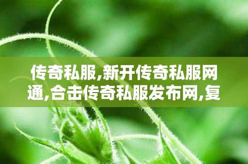 传奇私服,新开传奇私服网通,合击传奇私服发布网,复古传奇私服发布网,合击传奇私服发布网