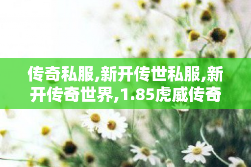 传奇私服,新开传世私服,新开传奇世界,1.85虎威传奇,新开传奇世界
