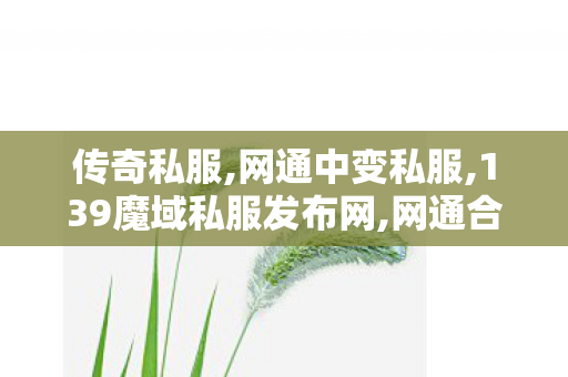 传奇私服,网通中变私服,139魔域私服发布网,网通合击传奇私服,139魔域私服发布网