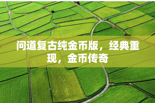 问道复古纯金币版，经典重现，金币传奇