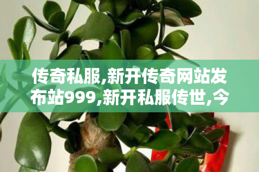传奇私服,新开传奇网站发布站999,新开私服传世,今日新开合击私服,新开私服传世
