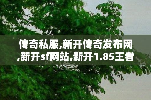 传奇私服,新开传奇发布网,新开sf网站,新开1.85王者版本,新开sf网站