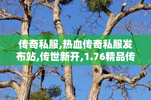 传奇私服,热血传奇私服发布站,传世新开,1.76精品传奇新服网,传世新开