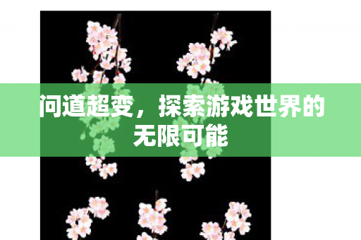 问道超变，探索游戏世界的无限可能