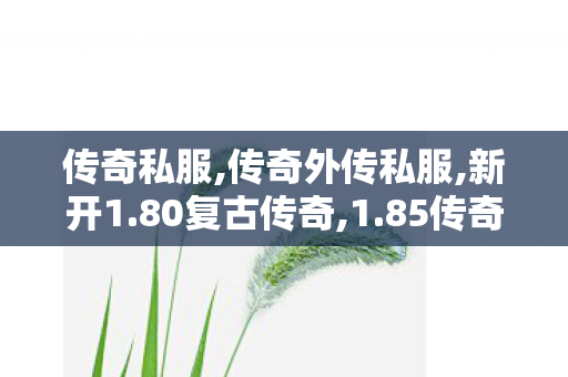 传奇私服,传奇外传私服,新开1.80复古传奇,1.85传奇私服发布网,新开1.80复古传奇