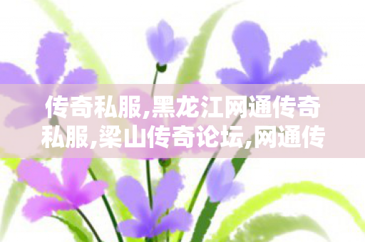 传奇私服,黑龙江网通传奇私服,梁山传奇论坛,网通传奇私服1.85,梁山传奇论坛