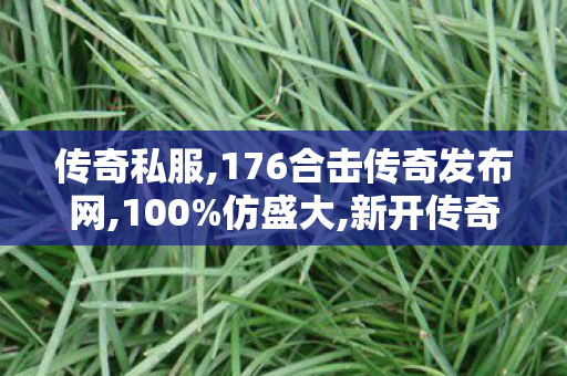 传奇私服,176合击传奇发布网,100%仿盛大,新开传奇私发服网,100%仿盛大