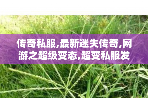 传奇私服,最新迷失传奇,网游之超级变态,超变私服发布网,网游之超级变态