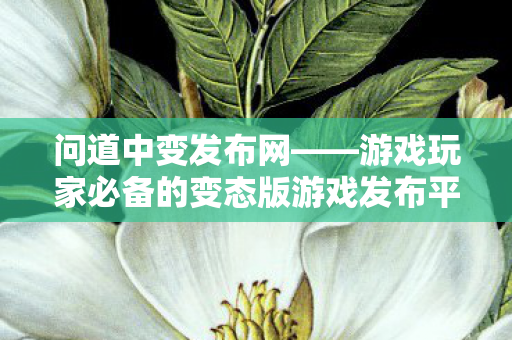 问道中变发布网——游戏玩家必备的变态版游戏发布平台