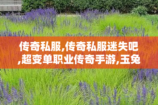 传奇私服,传奇私服迷失吧,超变单职业传奇手游,玉兔传奇,超变单职业传奇手游
