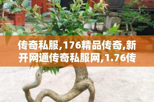 传奇私服,176精品传奇,新开网通传奇私服网,1.76传奇,新开网通传奇私服网