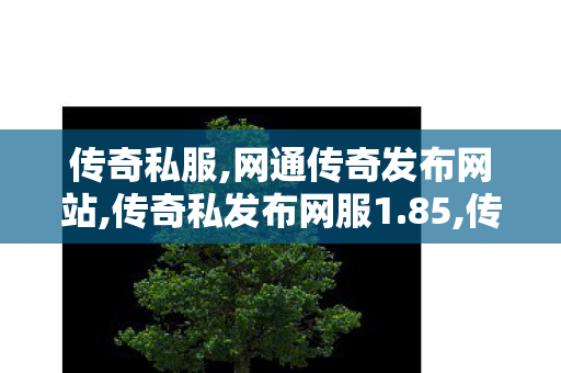 传奇私服,网通传奇发布网站,传奇私发布网服1.85,传奇中变私服发布网,传奇私发布网服1.85