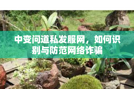 中变问道私发服网，如何识别与防范网络诈骗