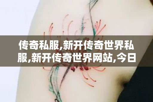 传奇私服,新开传奇世界私服,新开传奇世界网站,今日新开私服,新开传奇世界网站