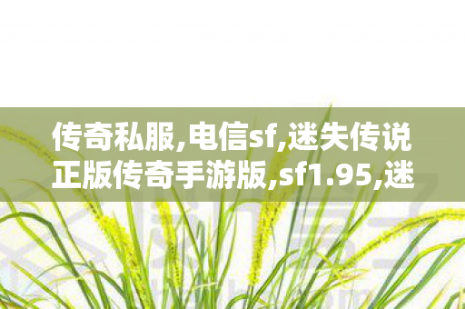 传奇私服,电信sf,迷失传说正版传奇手游版,sf1.95,迷失传说正版传奇手游版