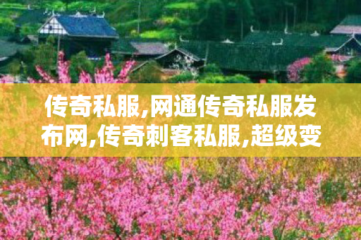 传奇私服,网通传奇私服发布网,传奇刺客私服,超级变态私服传奇,传奇刺客私服