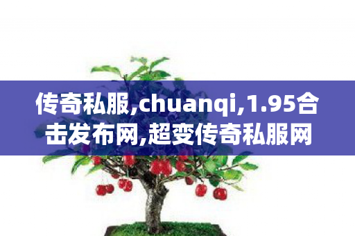 传奇私服,chuanqi,1.95合击发布网,超变传奇私服网站,1.95合击发布网