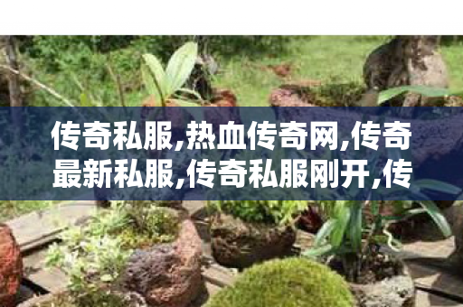 传奇私服,热血传奇网,传奇最新私服,传奇私服刚开,传奇最新私服