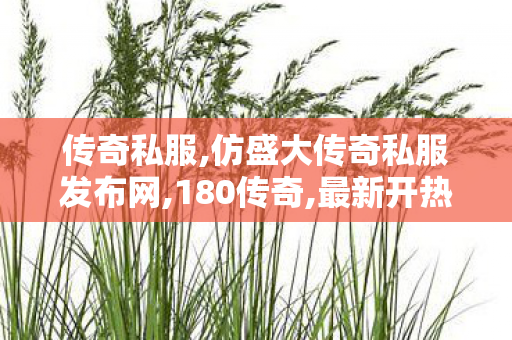 传奇私服,仿盛大传奇私服发布网,180传奇,最新开热血传奇私服,180传奇