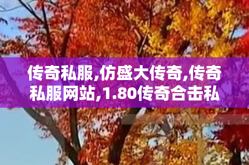 传奇私服,仿盛大传奇,传奇私服网站,1.80传奇合击私服,传奇私服网站