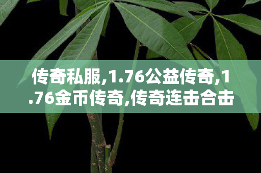 传奇私服,1.76公益传奇,1.76金币传奇,传奇连击合击怎么玩,1.76金币传奇
