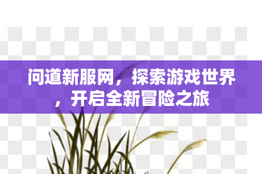 问道新服网，探索游戏世界，开启全新冒险之旅