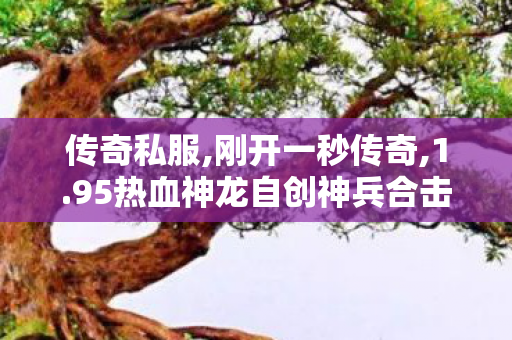 传奇私服,刚开一秒传奇,1.95热血神龙自创神兵合击版,最变态传奇私服,1.95热血神龙自创神兵合击版