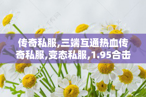 传奇私服,三端互通热血传奇私服,变态私服,1.95合击传奇,变态私服