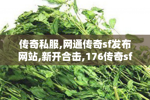 传奇私服,网通传奇sf发布网站,新开合击,176传奇sf,新开合击
