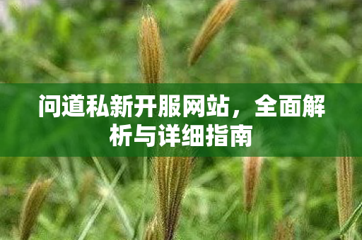 问道私新开服网站，全面解析与详细指南