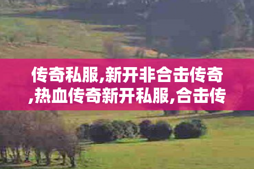传奇私服,新开非合击传奇,热血传奇新开私服,合击传奇私服发布网,热血传奇新开私服