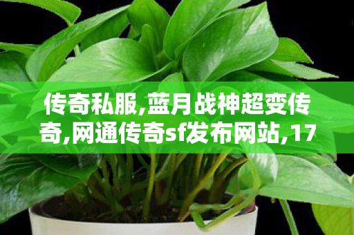 传奇私服,蓝月战神超变传奇,网通传奇sf发布网站,176精品传奇,网通传奇sf发布网站